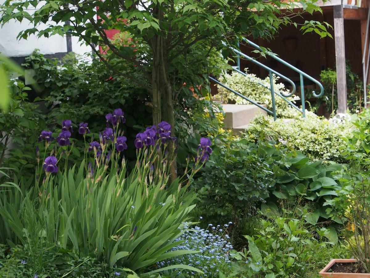 Ferienhaus Im Fachwerkhof 'Haus In Bewegung' Seelscheid ภายนอก รูปภาพ